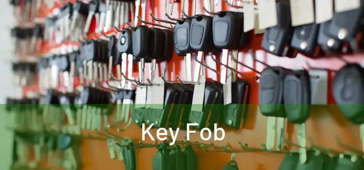  Key Fob 